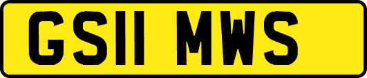 GS11MWS
