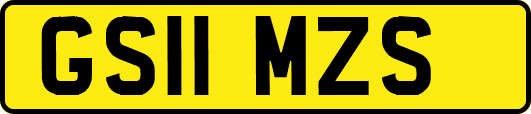 GS11MZS