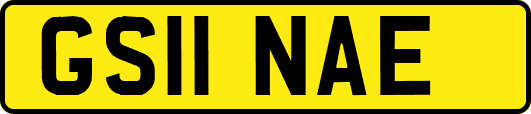 GS11NAE