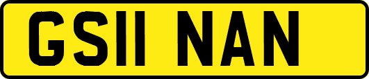 GS11NAN