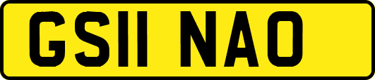 GS11NAO