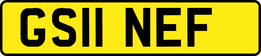 GS11NEF