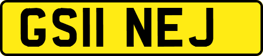 GS11NEJ