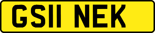 GS11NEK