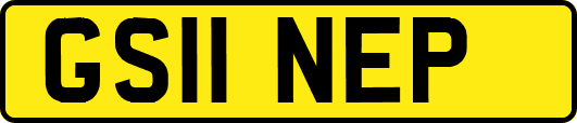 GS11NEP