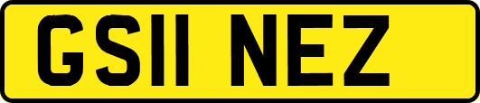 GS11NEZ