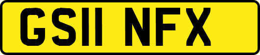 GS11NFX