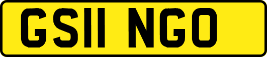 GS11NGO