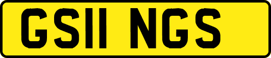 GS11NGS