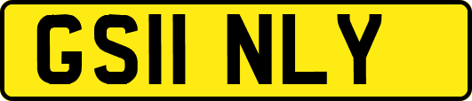 GS11NLY