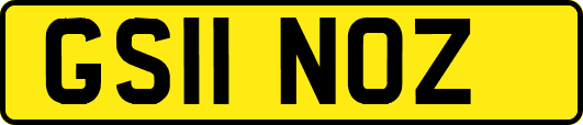 GS11NOZ