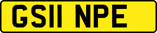 GS11NPE