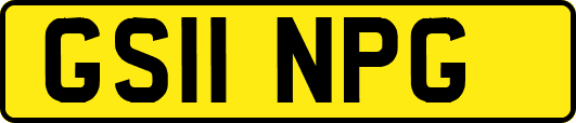GS11NPG