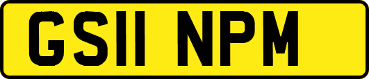 GS11NPM