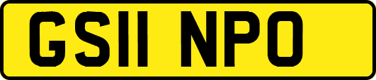GS11NPO