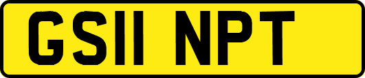 GS11NPT