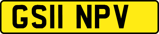 GS11NPV