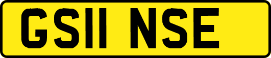 GS11NSE