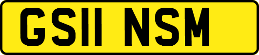 GS11NSM