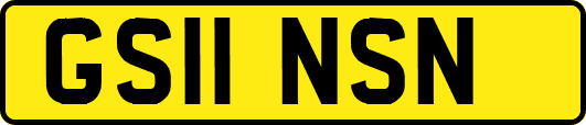 GS11NSN