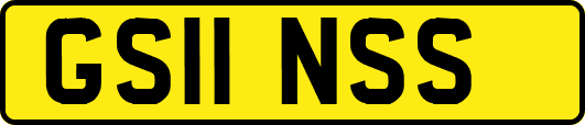 GS11NSS