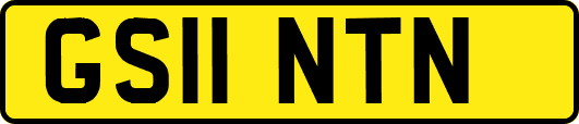 GS11NTN