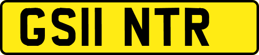 GS11NTR