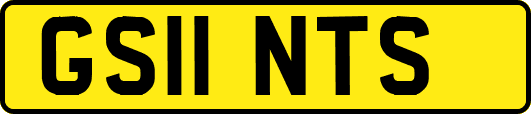 GS11NTS