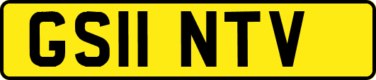 GS11NTV