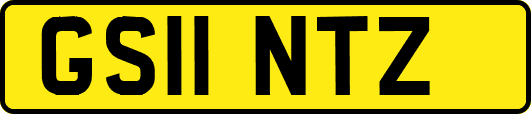 GS11NTZ