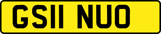GS11NUO