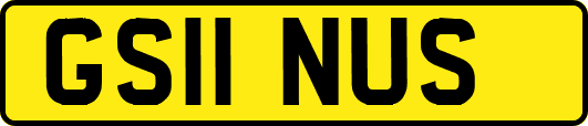 GS11NUS