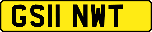 GS11NWT