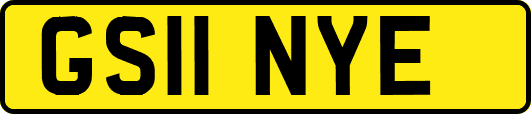 GS11NYE
