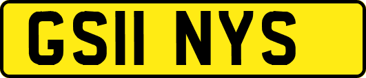 GS11NYS