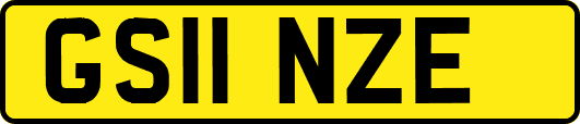 GS11NZE