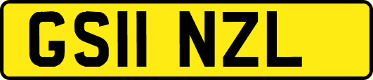 GS11NZL