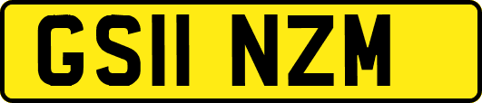 GS11NZM