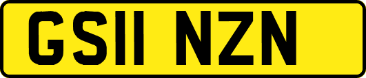 GS11NZN