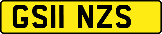 GS11NZS