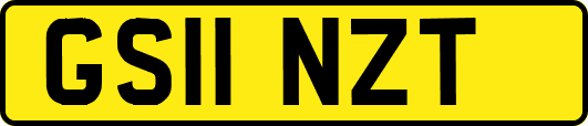 GS11NZT