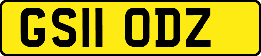 GS11ODZ