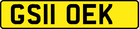 GS11OEK