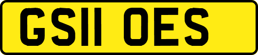 GS11OES