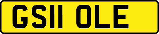 GS11OLE