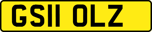 GS11OLZ