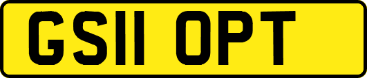 GS11OPT