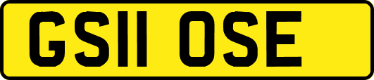GS11OSE