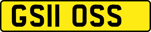 GS11OSS