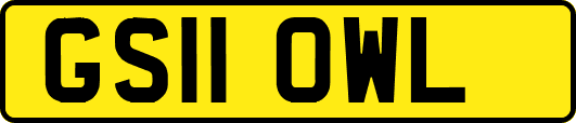 GS11OWL